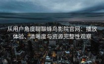 从用户角度聊聊蜂鸟影院官网：播放体验、清晰度与资源完整性观察