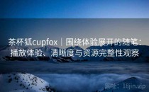 茶杯狐cupfox｜围绕体验展开的随笔：播放体验、清晰度与资源完整性观察