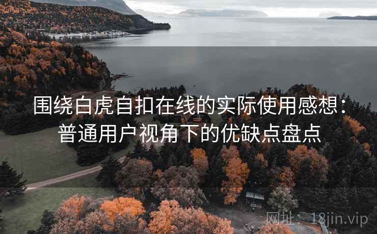 围绕白虎自扣在线的实际使用感想：普通用户视角下的优缺点盘点  第2张