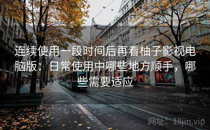 连续使用一段时间后再看柚子影视电脑版：日常使用中哪些地方顺手，哪些需要适应  第1张