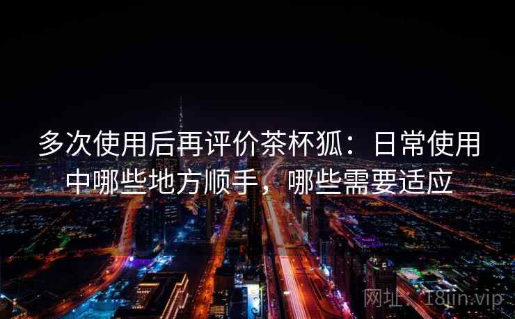 多次使用后再评价茶杯狐:日常使用中哪些地方顺手,哪些需要适应 第1张 多次使用后再评价茶杯狐:日常使用中哪些地方顺手,哪些需要适应 第1张