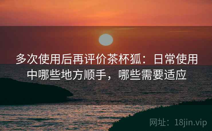 多次使用后再评价茶杯狐:日常使用中哪些地方顺手,哪些需要适应 第2张 多次使用后再评价茶杯狐:日常使用中哪些地方顺手,哪些需要适应 第2张
