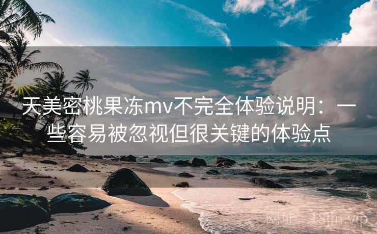 天美密桃果冻mv不完全体验说明：一些容易被忽视但很关键的体验点  第2张
