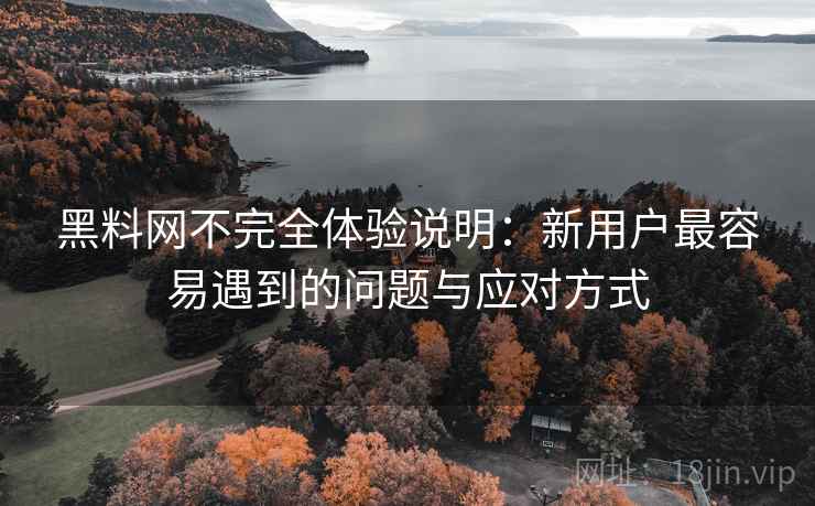 黑料网不完全体验说明:新用户最容易遇到的问题与应对方式 第1张 黑料网不完全体验说明:新用户最容易遇到的问题与应对方式 第1张