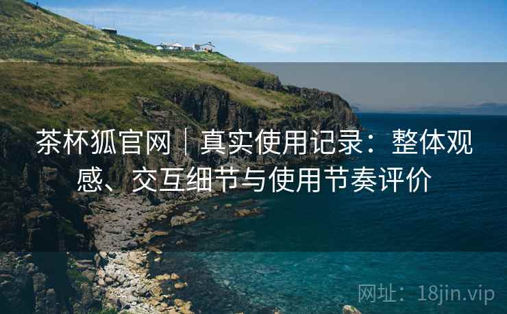 茶杯狐官网｜真实使用记录：整体观感、交互细节与使用节奏评价  第2张