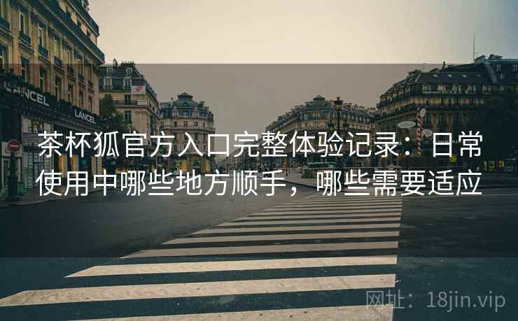 茶杯狐官方入口完整体验记录：日常使用中哪些地方顺手，哪些需要适应  第2张