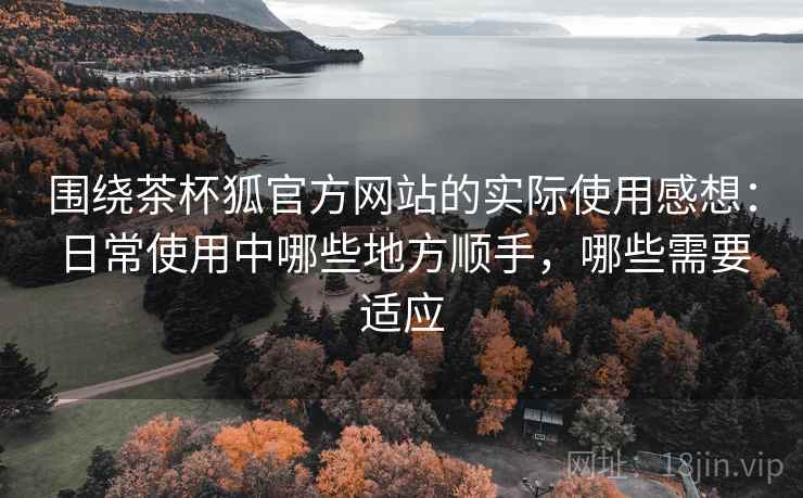 围绕茶杯狐官方网站的实际使用感想：日常使用中哪些地方顺手，哪些需要适应  第2张